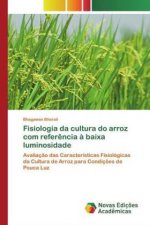 Fisiologia da cultura do arroz com referência à baixa luminosidade