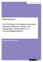 Die Verteilung von Induktionswirkungen Lagrange Kohärenter Objekte. Zur Topographie und Kondition von Geschwindigkeitsfeldern