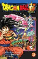 Dragon Ball Super 11