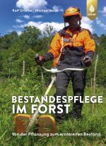 Bestandespflege im Forst