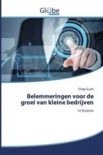 Belemmeringen voor de groei van kleine bedrijven