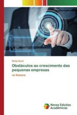 Obstaculos ao crescimento das pequenas empresas