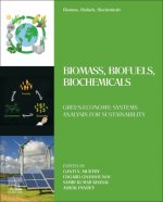 Biomass, Biofuels, Biochemicals