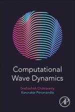 Computational Wave Dynamics