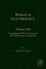 Liquid-Liquid Phase Coexistence and Membraneless Organelles