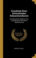 Grundzüge Einer Extensionalen Erkenntnisstheorie: Ein Räumliches Abbild Von Der Entstehung Der Sinnlichen Wahrnehmung