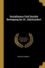 Sozialismus Und Soziale Bewegung Im 19. Jahrhundert