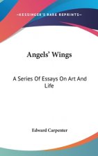 Angels' Wings: A Series Of Essays On Art And Life