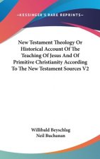 New Testament Theology Or Historical Account Of The Teaching Of Jesus And Of Primitive Christianity According To The New Testament Sources V2