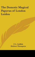 The Demotic Magical Papyrus of London Leiden