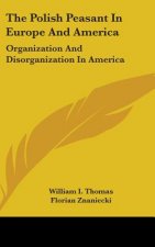 The Polish Peasant In Europe And America: Organization And Disorganization In America