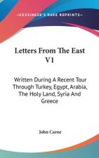 Letters From The East V1: Written During A Recent Tour Through Turkey, Egypt, Arabia, The Holy Land, Syria And Greece