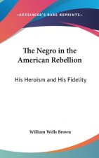 The Negro in the American Rebellion: His Heroism and His Fidelity