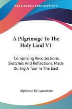 A Pilgrimage To The Holy Land V1: Comprising Recollections, Sketches And Reflections, Made During A Tour In The East