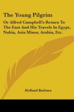 The Young Pilgrim: Or Alfred Campbell's Return To The East And His Travels In Egypt, Nubia, Asia Minor, Arabia, Etc.