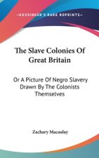 The Slave Colonies Of Great Britain: Or A Picture Of Negro Slavery Drawn By The Colonists Themselves