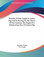 Heredity Of Hair-Length In Guinea Pigs And Its Bearing On The Theory Of Pure Gametes; The Origin Of A Polydactylous Race Of Guinea Pigs