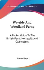 Wayside And Woodland Ferns: A Pocket Guide To The British Ferns, Horsetails And Clubmosses