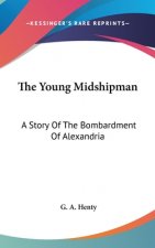 The Young Midshipman: A Story Of The Bombardment Of Alexandria