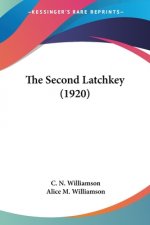 The Second Latchkey (1920)