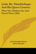 Little Mr. Thimblefinger And His Queer Country: What The Children Saw And Heard There (1894)