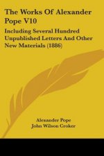 The Works Of Alexander Pope V10: Including Several Hundred Unpublished Letters And Other New Materials (1886)