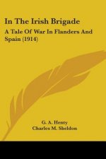 In The Irish Brigade: A Tale Of War In Flanders And Spain (1914)