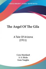 The Angel Of The Gila: A Tale Of Arizona (1911)