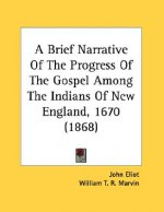 A Brief Narrative of the Progress of the Gospel Among the Indians of New England, 1670 (1868)
