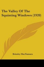 The Valley Of The Squinting Windows (1920)