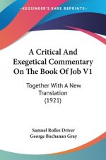 A Critical and Exegetical Commentary on the Book of Job V1: Together with a New Translation (1921)