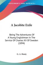 A Jacobite Exile: Being The Adventures Of A Young Englishman In The Service Of Charles XII Of Sweden (1894)