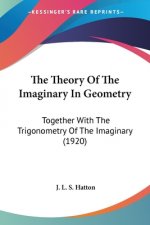 The Theory Of The Imaginary In Geometry: Together With The Trigonometry Of The Imaginary (1920)