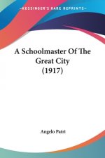 A Schoolmaster Of The Great City (1917)