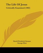 The Life Of Jesus: Critically Examined (1902)