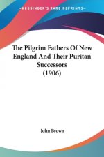 The Pilgrim Fathers Of New England And Their Puritan Successors (1906)