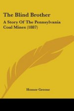 The Blind Brother: A Story Of The Pennsylvania Coal Mines (1887)