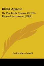 Blind Agnese: Or The Little Spouse Of The Blessed Sacrament (1888)