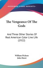 The Vengeance Of The Gods: And Three Other Stories Of Real American Color Line Life (1922)