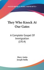 They Who Knock at Our Gates: A Complete Gospel of Immigration (1914)