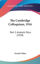 The Cambridge Colloquium, 1916: Part 2, Analysis Situs (1918)