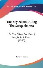 The Boy Scouts Along The Susquehanna: Or The Silver Fox Patrol Caught In A Flood (1915)