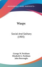 Wasps: Social And Solitary (1905)