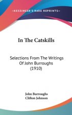 In The Catskills: Selections From The Writings Of John Burroughs (1910)