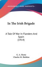 In The Irish Brigade: A Tale Of War In Flanders And Spain (1914)