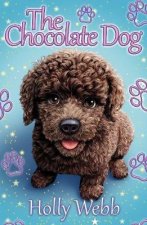 Chocolate Dog NE