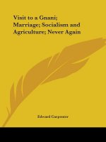 Visit to a Gnani; Marriage; Socialism and Agriculture; Never Again