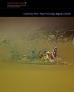 Colombia, Peru: Bajo Putumayo-Cotuhe - Rapid Biological and Social Inventories Report 31