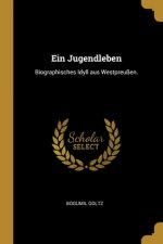 Ein Jugendleben: Biographisches Idyll aus Westpreußen.