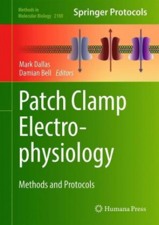 Patch Clamp Electrophysiology